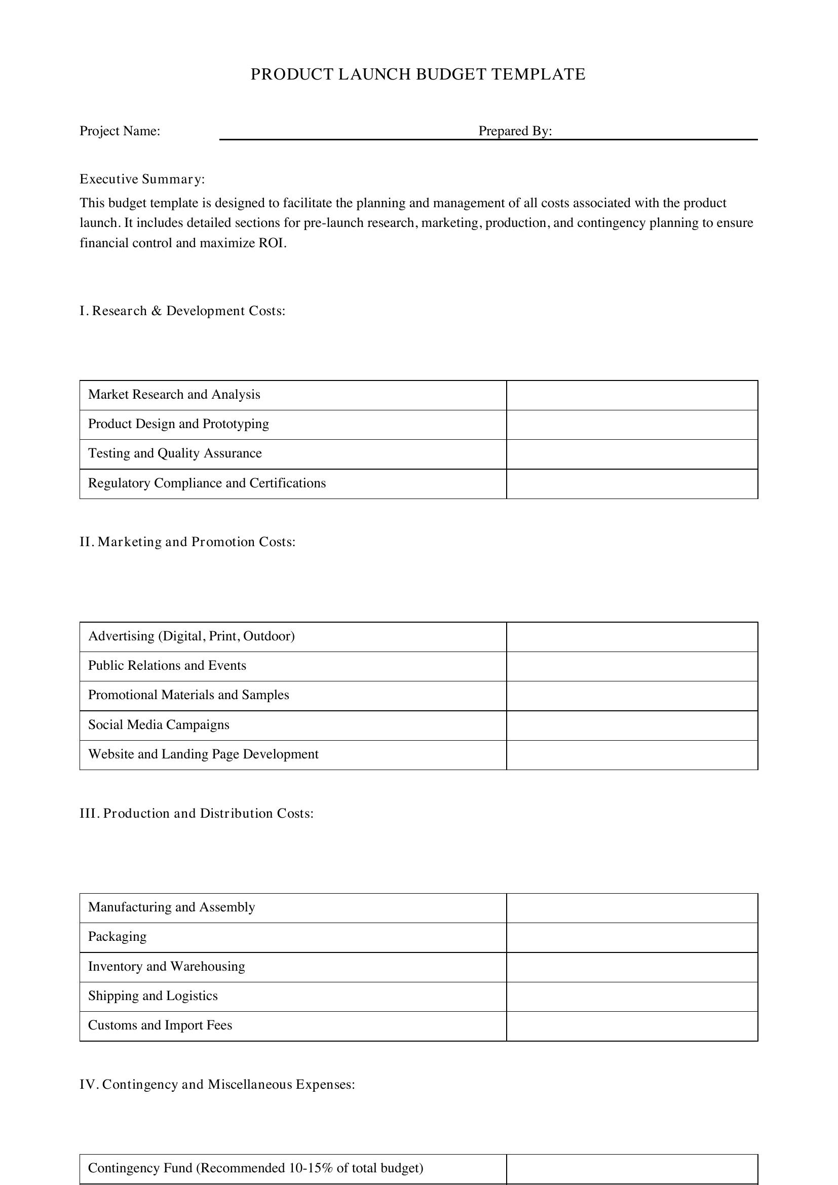 Product Launch Budget Template